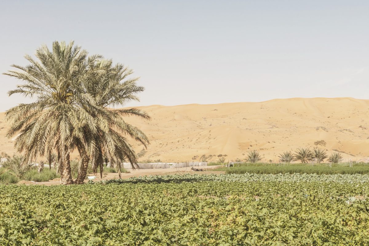 Al Ain